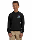 Custom Youth Crewneck Sweatshirt – Front Logo and Full Print Back