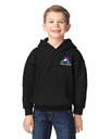 Custom Embroidered Youth Pullover Hoodie – Front Logo and Full Print Back