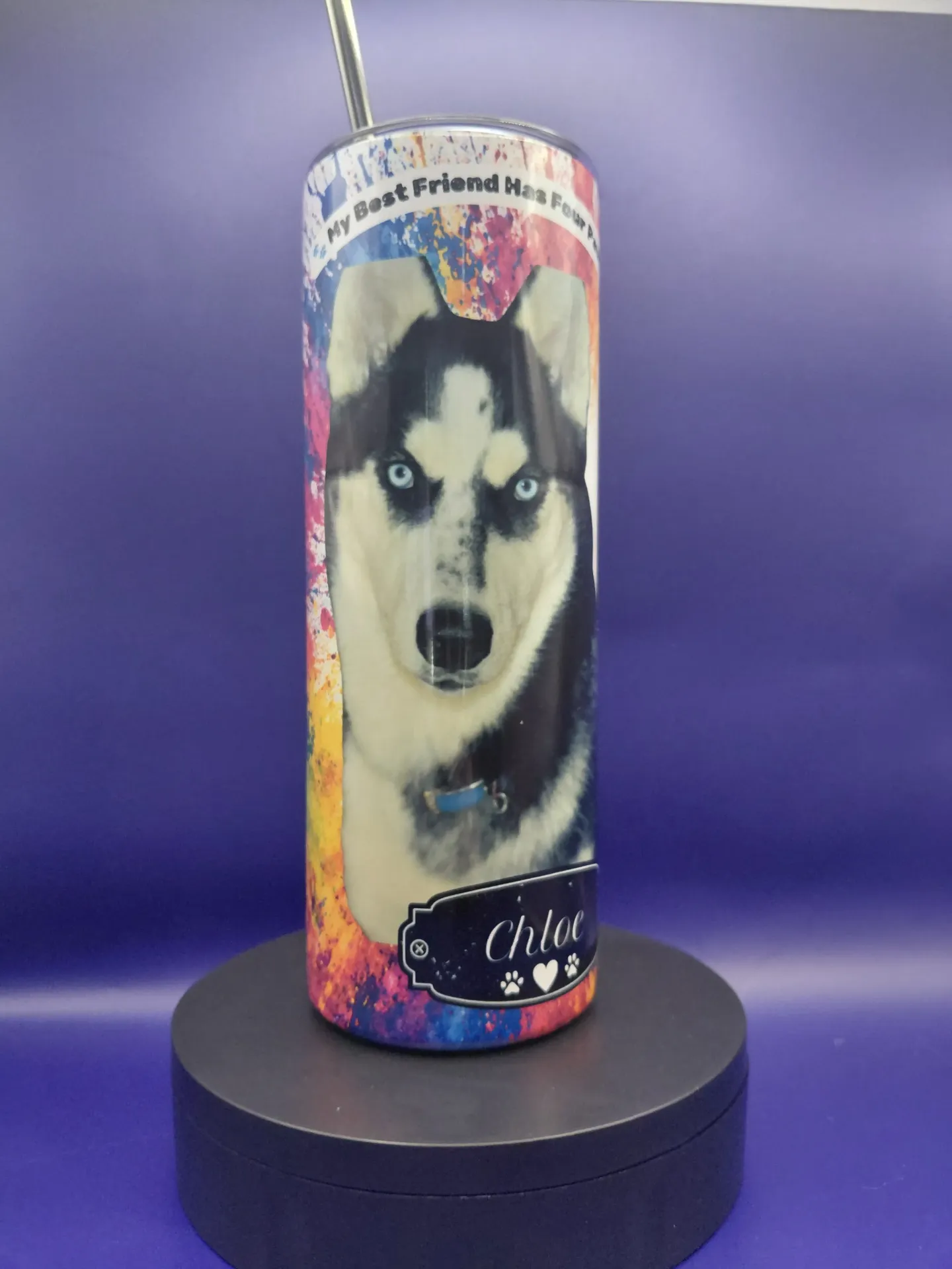 Custom 20oz Stainless Steel Pet Lovers Tumbler